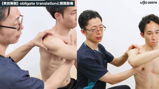 関節の基礎知識:関節構造を理解しよう スクリーンショット