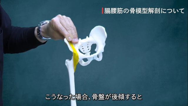 鼠径部痛の病態と力学 スクリーンショット