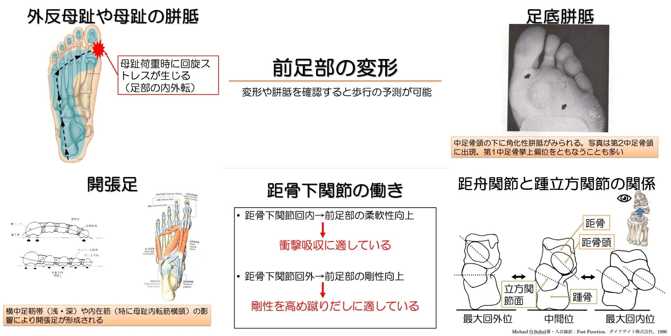 10.24【財前知典先生】足部と歩行の関連性〜足部評価の臨床的解釈とアプローチまでを解説~(リピート配信)