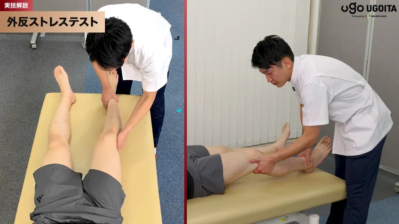 内側側副靭帯(MCL)損傷 スクリーンショット