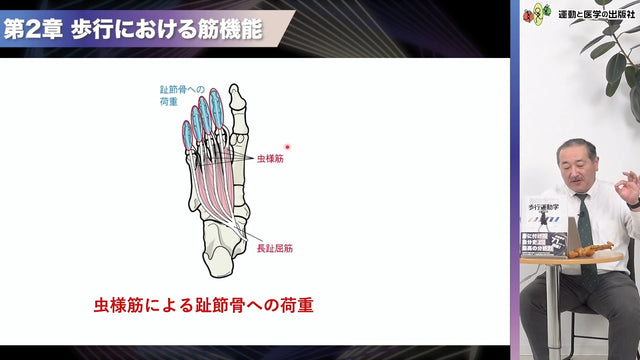 歩行における筋機能 スクリーンショット