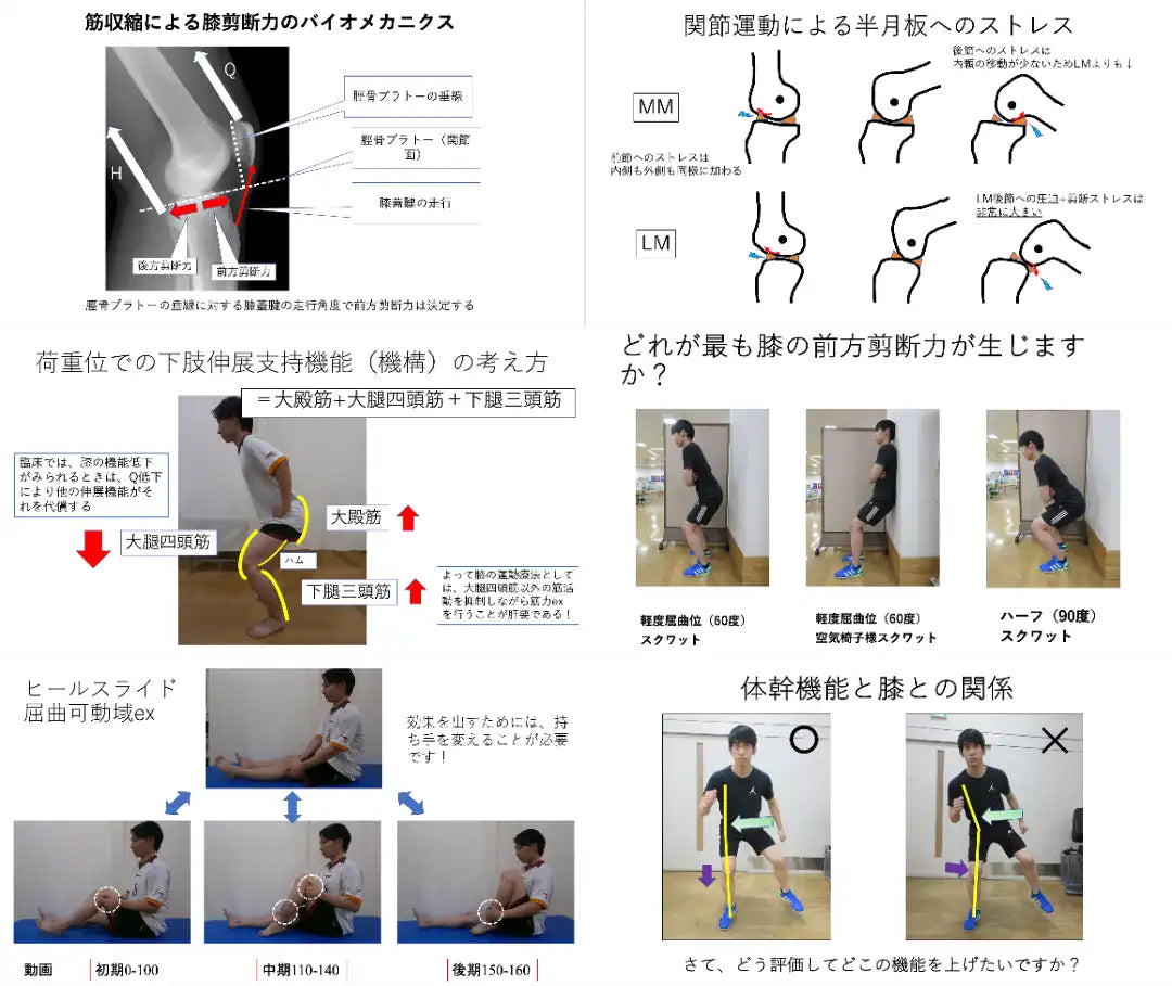 12.05【今屋健先生】ACL・半月板術後の運動療法と臨床技術〜教科書には載っていないプロがこだわる“コツ”とは？〜（リピート配信）