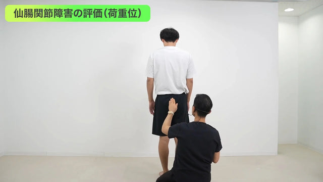 殿部の痛みの病態と力学 スクリーンショット
