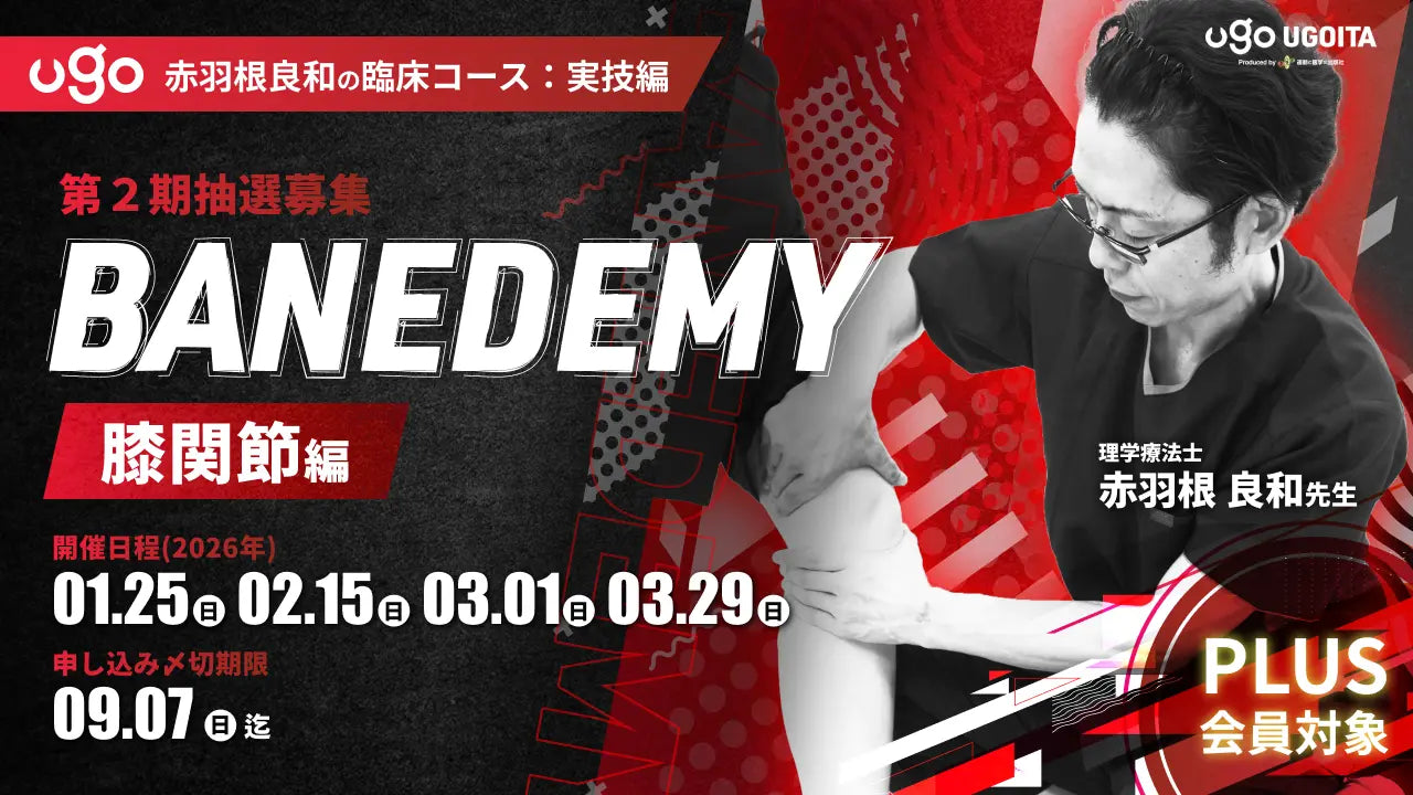 01.25【赤羽根良和の臨床コース:実技編】BANEDEMY（バネデミー）膝関節編（PLUS会員限定実技セミナー）＜全4回＞
