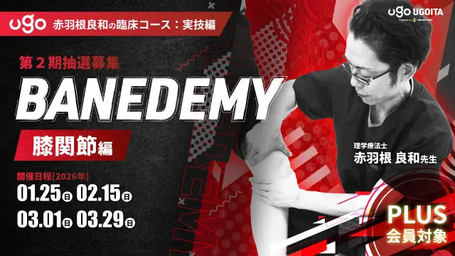 01.25【赤羽根良和の臨床コース:実技編】BANEDEMY（バネデミー）膝関節編（PLUS会員限定実技セミナー）＜全4回＞