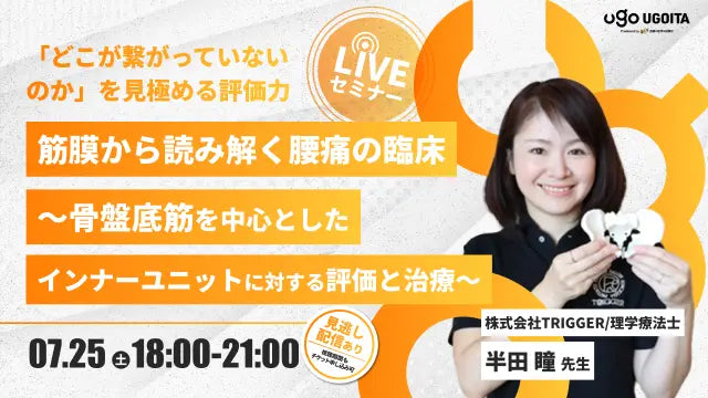 07.25 【半田瞳先生】筋膜から読み解く腰痛の臨床〜骨盤底筋を中心としたインナーユニットに対する評価と治療〜（LIVEセミナー/ZOOM）