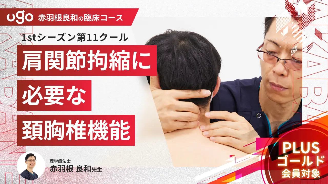 1st第11クール：肩関節拘縮に必要な頚胸椎機能
