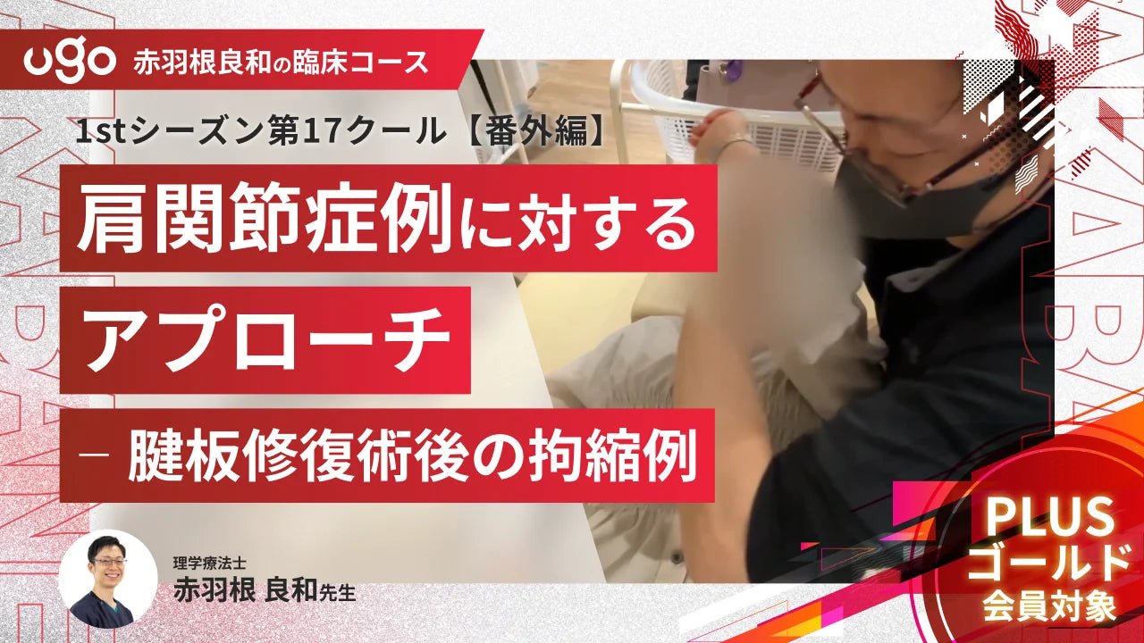 特集：赤羽根良和