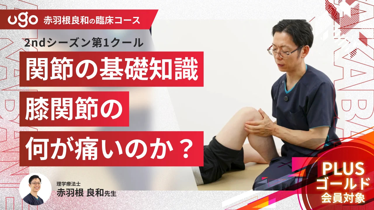 2nd第1クール：関節の基礎知識:膝関節の何が痛いのか？