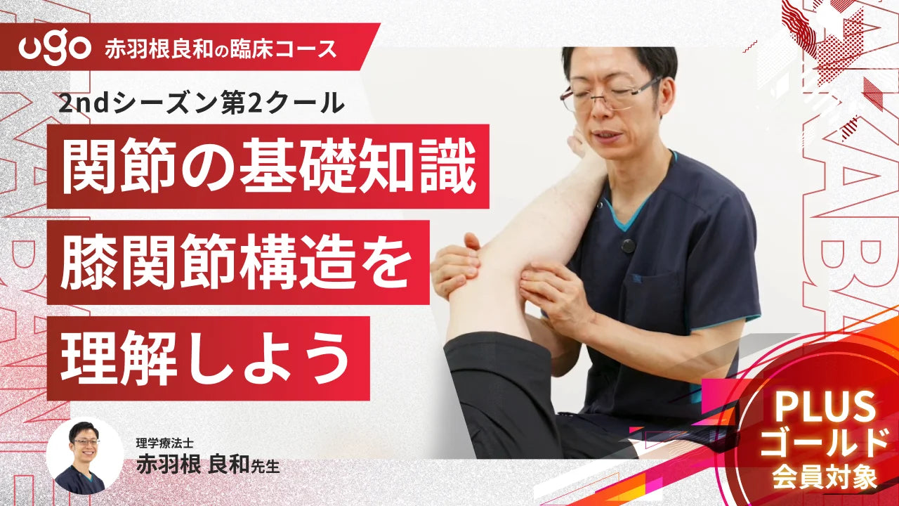 2nd第2クール：関節の基礎知識:膝関節構造を理解しよう