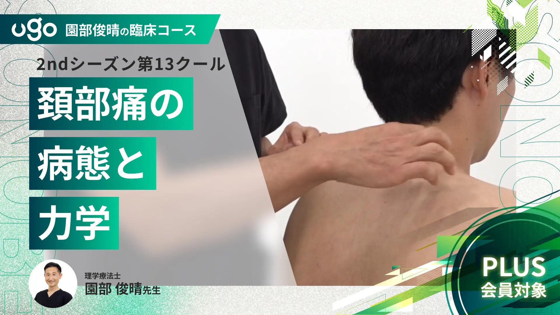 2nd第13クール：頚部痛の病態と力学