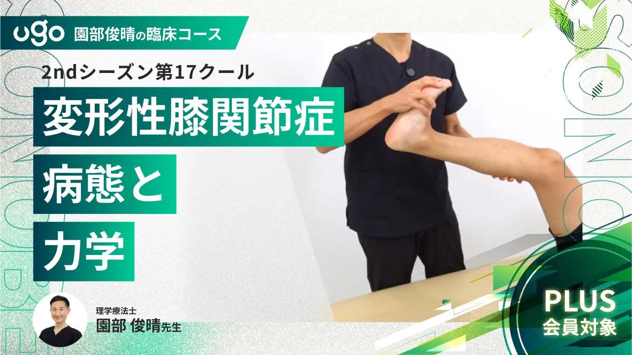 2nd第17クール：変形性膝関節症の病態と力学